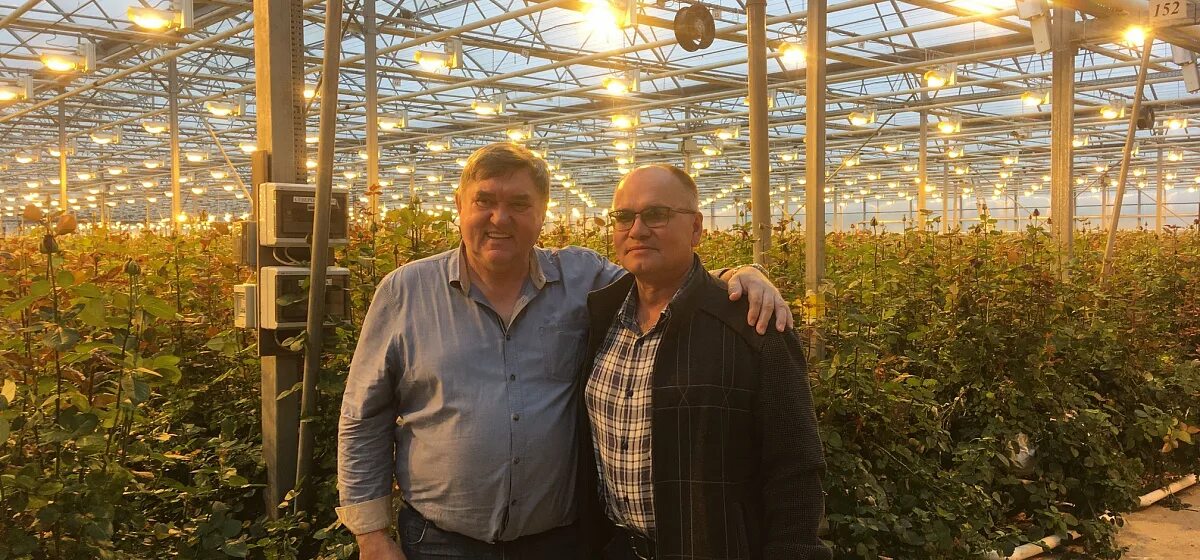 Цветы удмуртии сарапул. Цветы удмуртии ооо. Оранжерея сарапул цветочная. Оранжерейный комплекс ижевск. Чайковский тепличный комбинат.