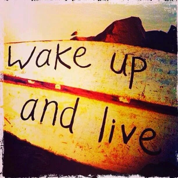 Wake up already. Wake up and Live. Wake up надпись. Wake up Wake up. Wake up ава.