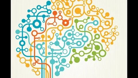 Brain puzzle