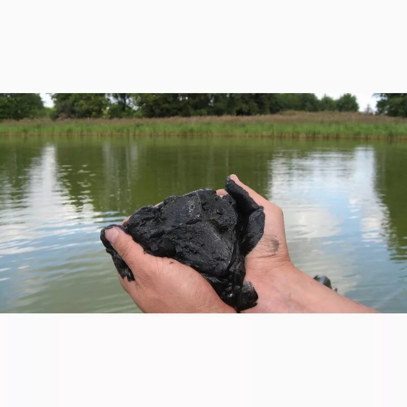 Донные отложения в водоемах. Р ила. Р ила. Речной ил. Сапропель речной.