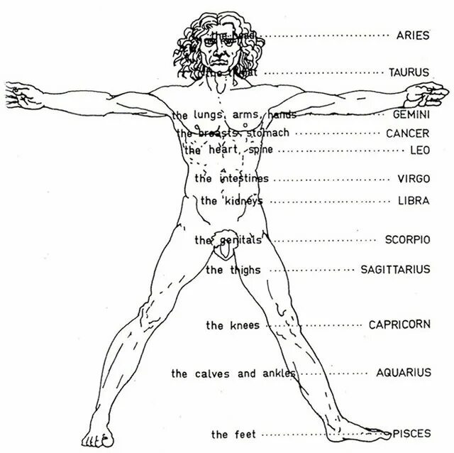 Сильные стороны знаков зодиака. Уязвимые места знаков зодиака. Гороскоп "водолей. Самый сильный зодиака слабый. Знаки зодиакальные и части тела человека.