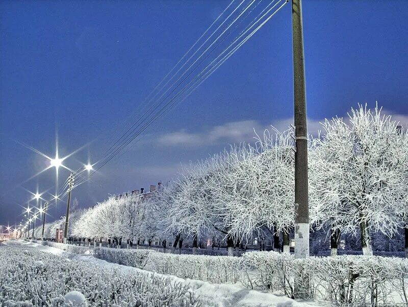 изморозь на проводах. и падал снег так важно и степенно. синий иней текст. советская, 18). синий синий лег на провода оригинал.