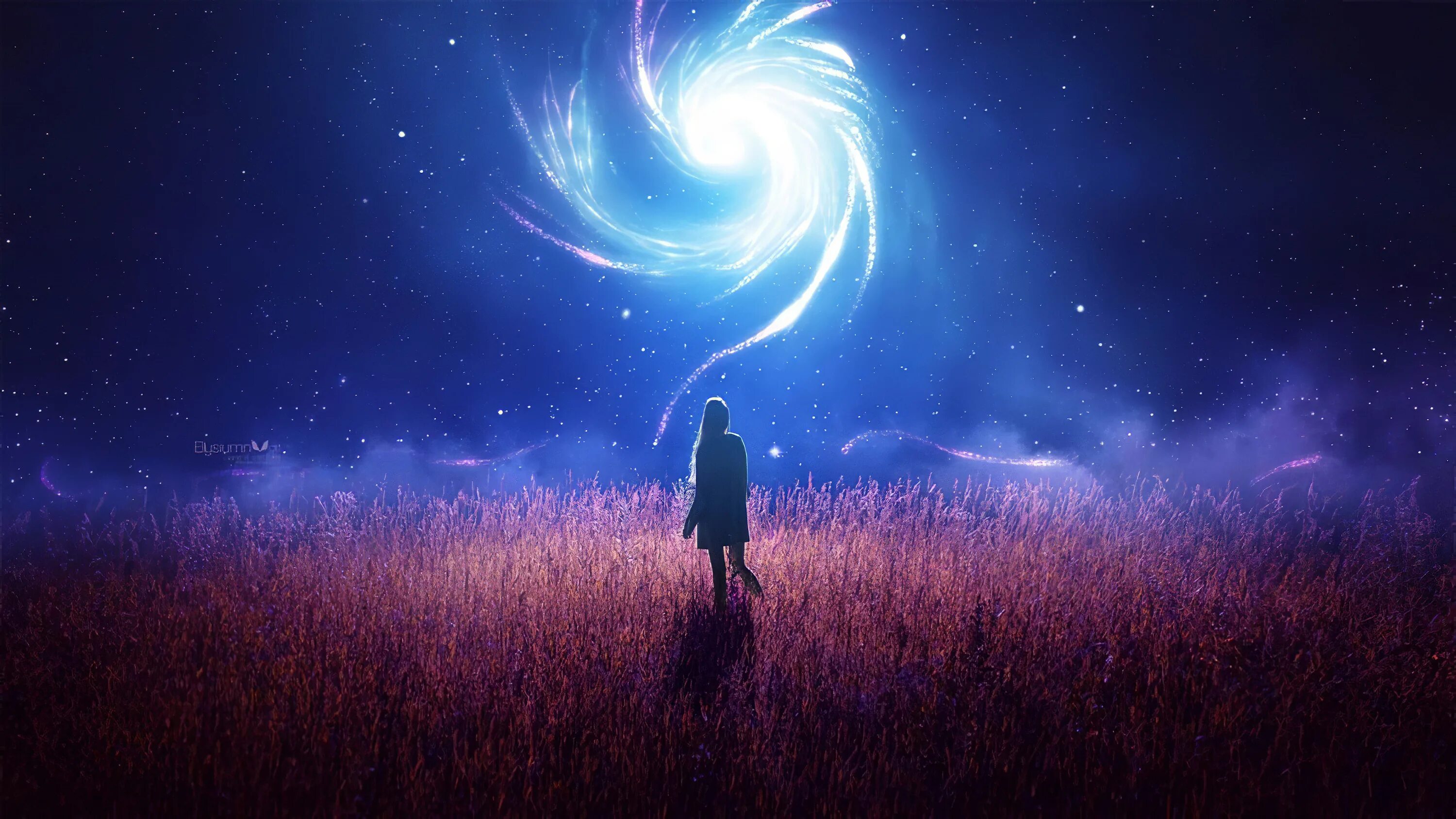 Dreams of the beginning