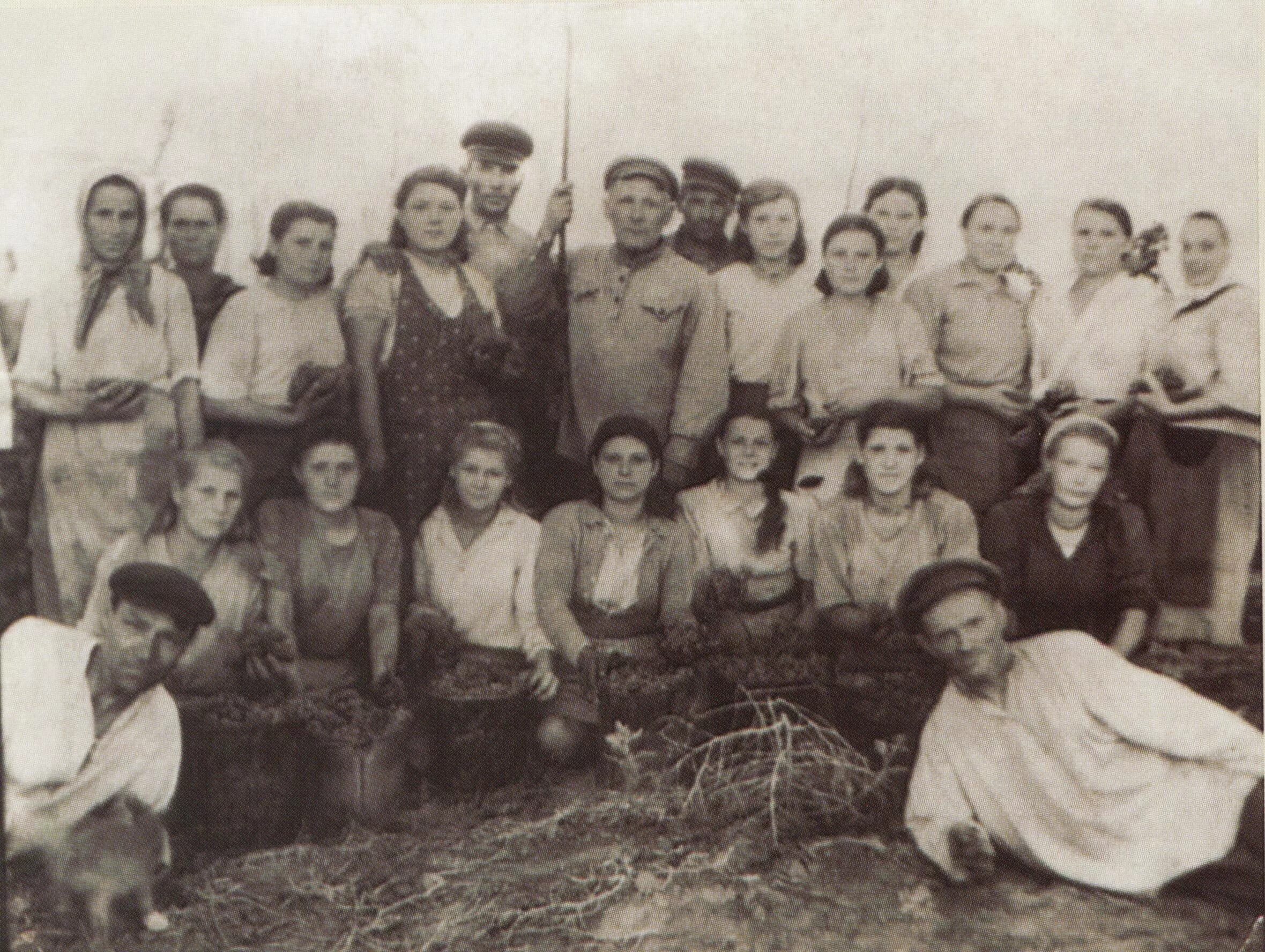 спк заря починковский район. амбар в колхозе. тульская область суворовский район черепеть. председатель колхоза 1950 сельхоз школа. грайворон-агроинвест уборочная.