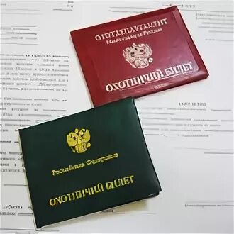 Охотничий минимум 2025 для получения охотничьего билета. Срок действия охотничьего билета.