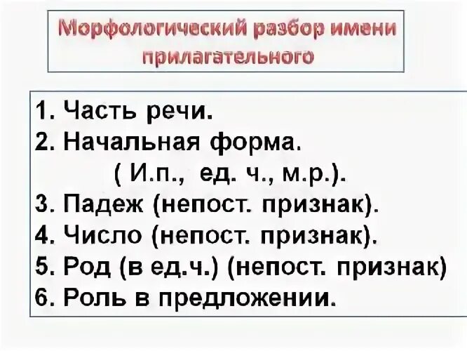 Мокрые морфологический разбор