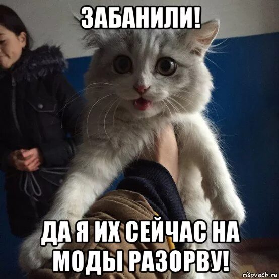 Забанены хороша. Бан в кс 1. Надпись бан. Забанить мемы. Надпись бан.