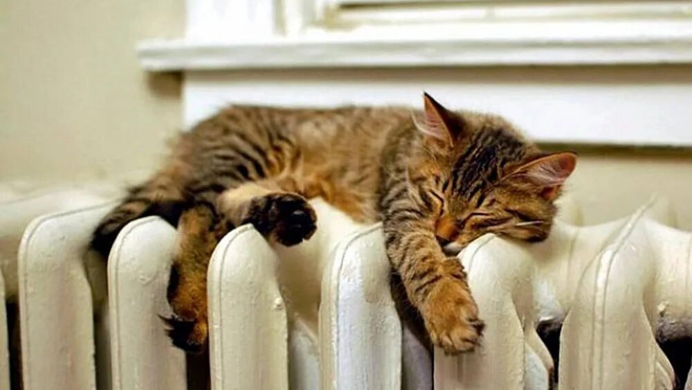 Не дающие тепла. Не дающие тепла. Неисправные отопительные приборы. Отключили отопление. Не дающие тепла.