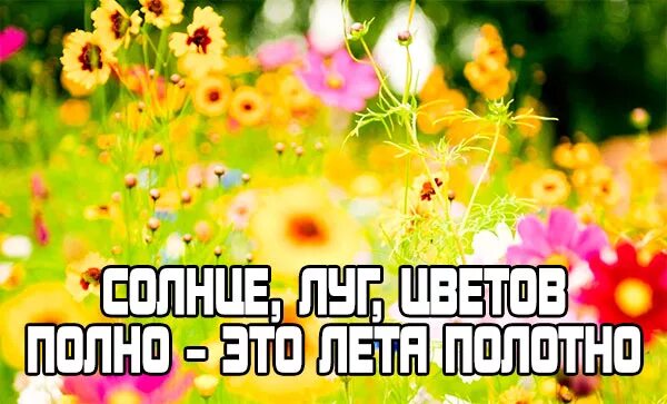 Цитата будет лето. Цитаты о лете. Высказывания про лето. Фразы про лето короткие и красивые. Красивые афоризмы о лете.