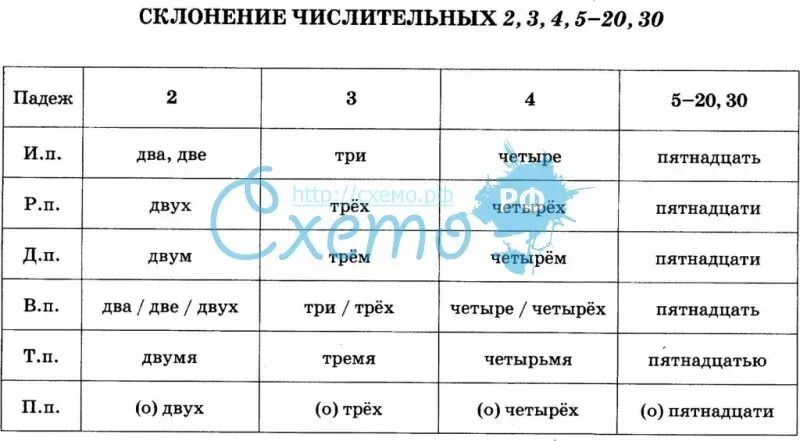 Слово пятьсот по падежам. Склонение числительных по падежам таблица. Склонение числительных один два три четыре. Склонение числительных два три четыре по падежам. Склонение числительных от пяти до двадцати и тридцать.