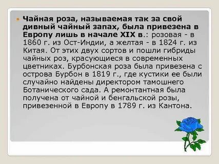 Что значит имя хоть розой назови