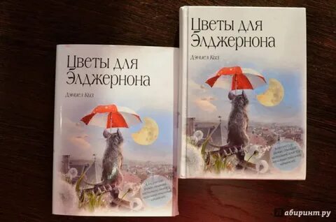 Элджернона автор