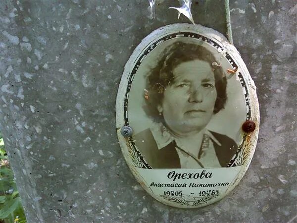 отчество никитовна