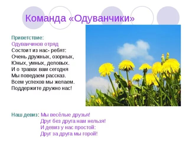 Отряд состоит из. Отряд состоит из