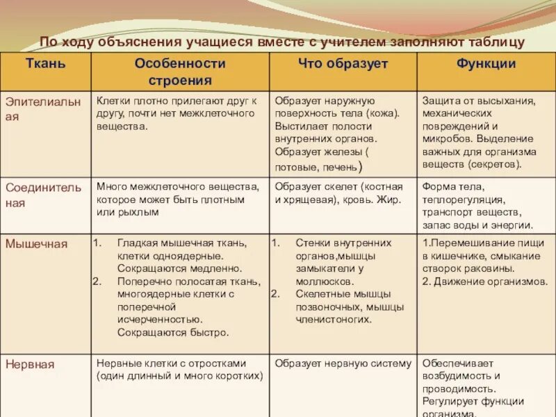 Заполнить таблицу тканей. Системы организмов таблица для заполнения. заполните таблицу тип волос тип состава. заполните таблицу по ходу сообщений учителя и учащихся о блоке. заполните таблицы в ходе сообщений учителя и учащихся.