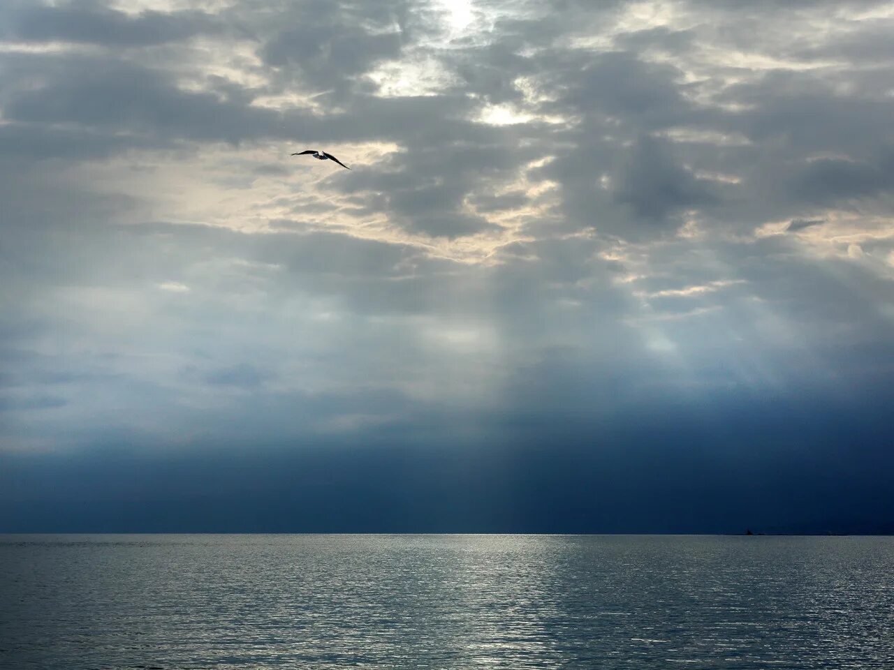 Балтийское море калининград чайки. Море небо чайки. Небо море чайки. Чайки над морем. Небо море чайки.