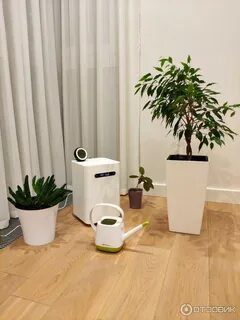 Smartmi evaporative humidifier 2