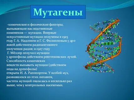 Мутагенные химические вещества