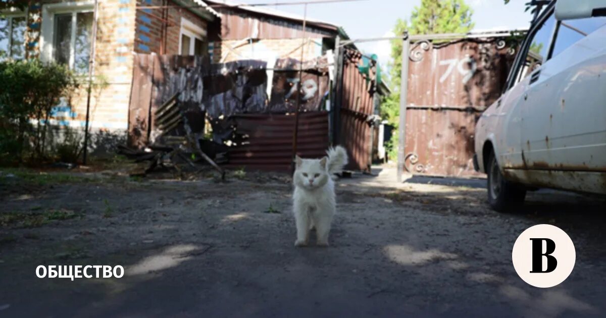 Пос горьковский белгородская область. Городской двор. Поселок Горьковский Белгородская. Шебекино обстрел сейчас. Таки ВСУ поселок Горьковский Белгородская область.