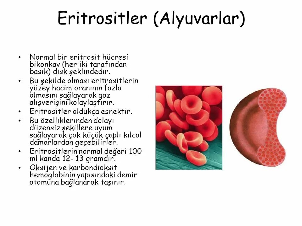 Nasil bir. Eritrositler. Eritrosit. Eritrosit tuzilishi. QANDA xolestirinin normal.