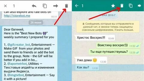 Почему в ватсапе не могу отправить сообщение