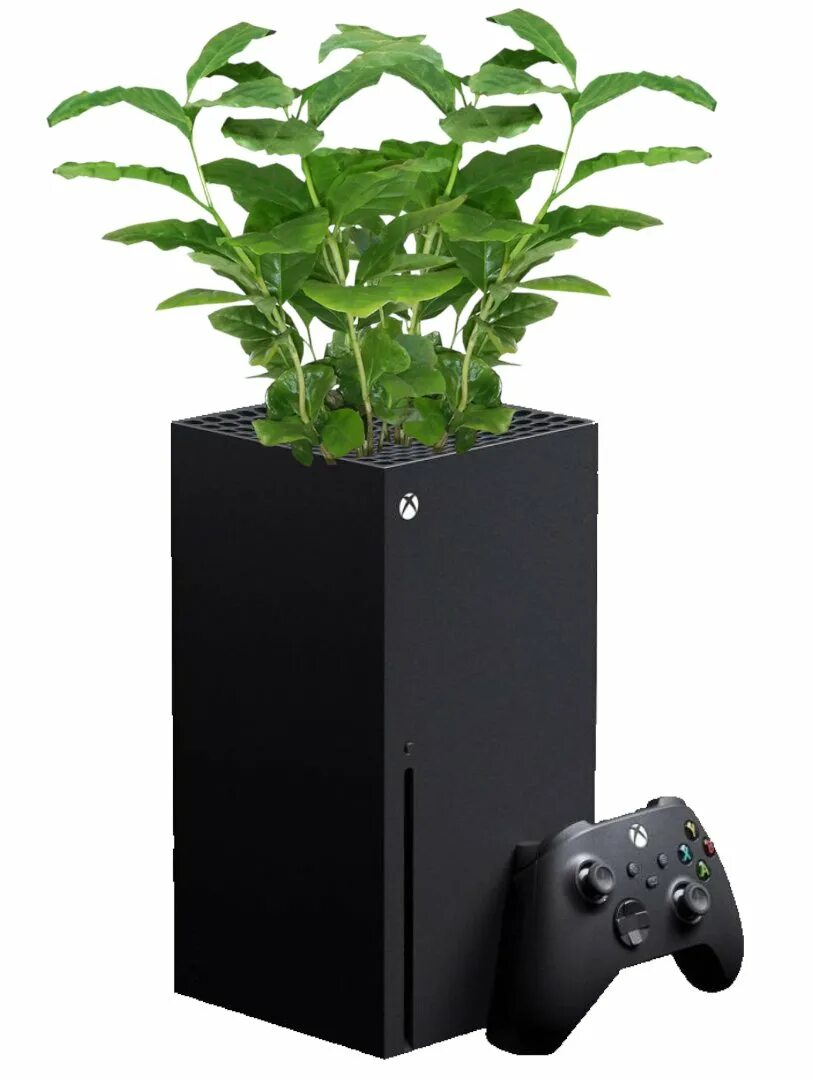 Xbox series 10. Хбокс 2020. Иксбокс Series x. Xbox Sirius x. Хбокс Сериес с.