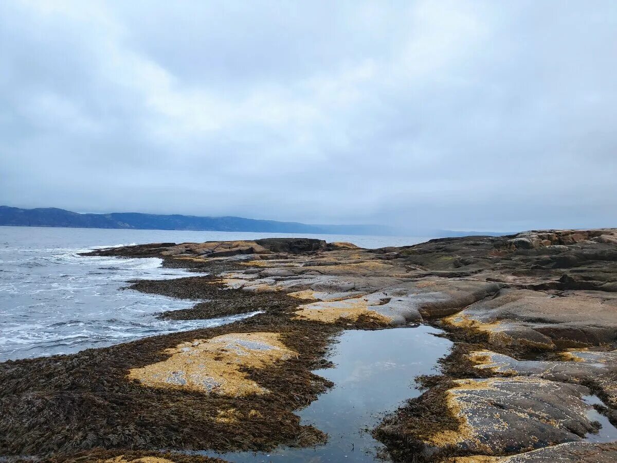 Баренцево море териберка лето. Остров долгий баренцево море. Берег баренцева моря териберка. Баренцево море териберка. Баренцево море приливы.