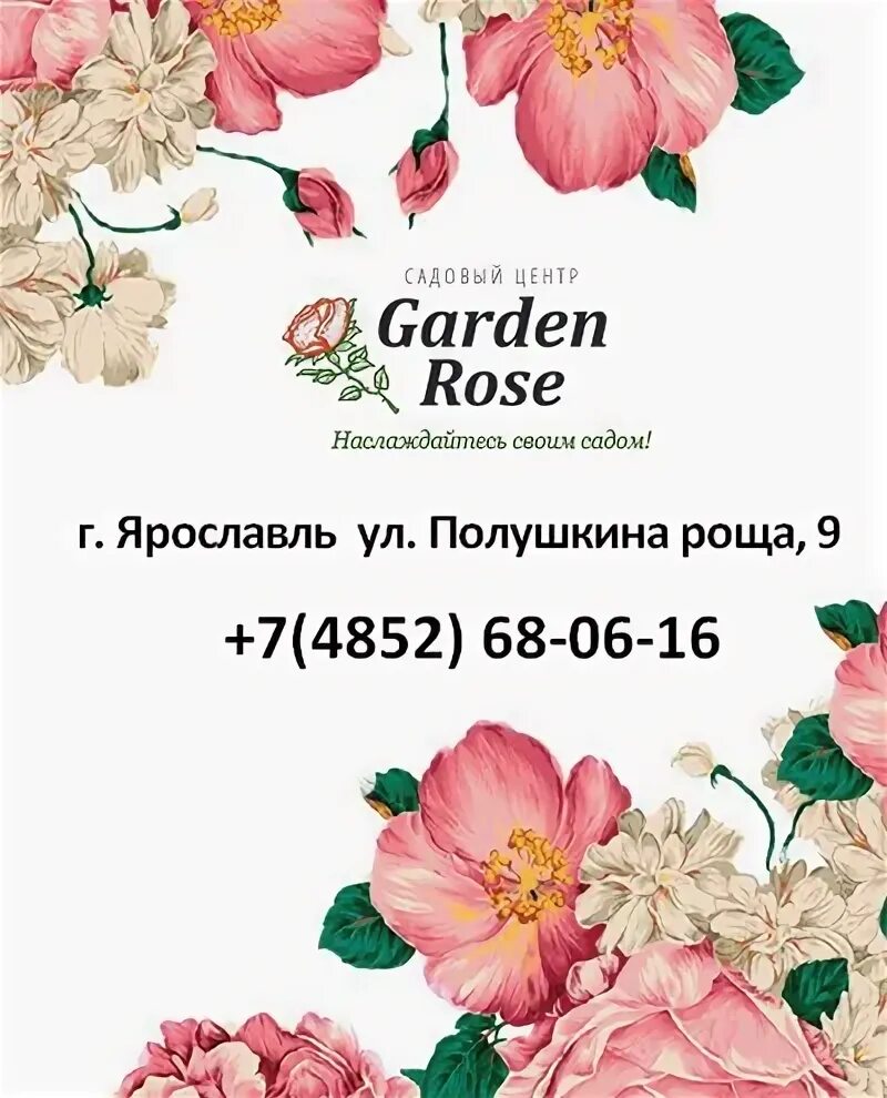 Гарден розе ярославль каталог. Гарден розе ярославль каталог. Garden rose перевод. Гарден роуз ярославль. Гарден розе ярославль.