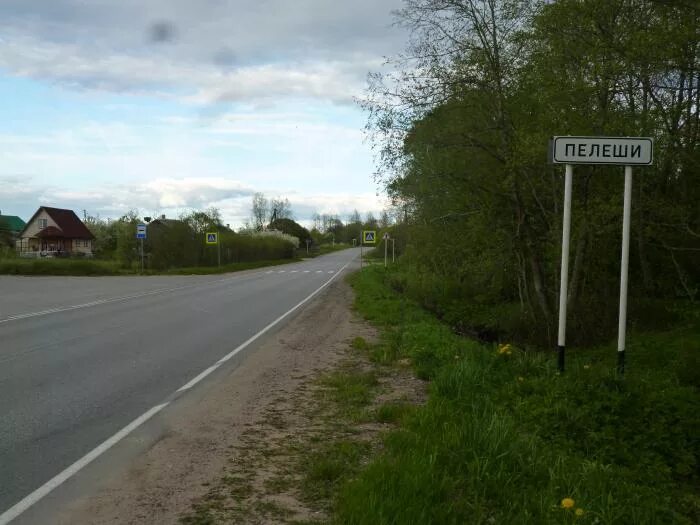 Дом 63 м² на участке 25 сот. на продажу в Сланцах Купить дом в Сланцах Авито