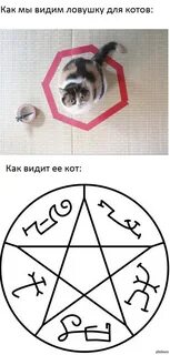 Изгнать кошек