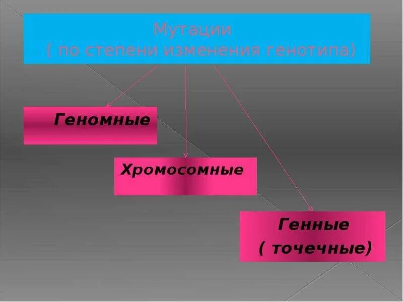 Мутации изменения генотипа. Степени мутации. причины мутаций соматические и генеративные мутации. мутации по генотипу. классификация мутаций по характеру изменения генотипа.