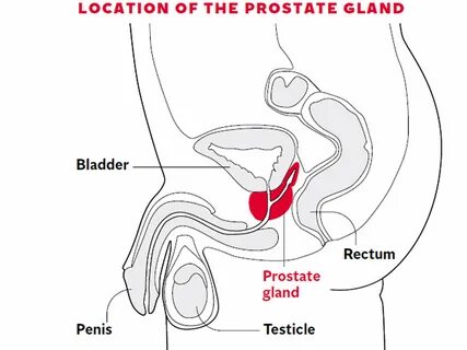 Prostateplay