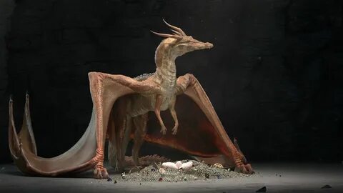 Jess dragon