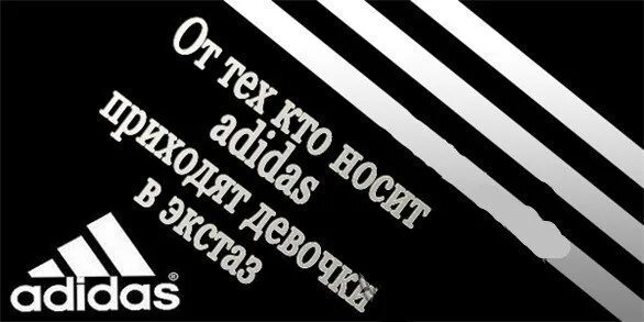 Adidas logo 2023. Персонажи в адидасе. Входная группа адидас. Адидас про это. Кто носит фирму адидас тому любая баба даст.