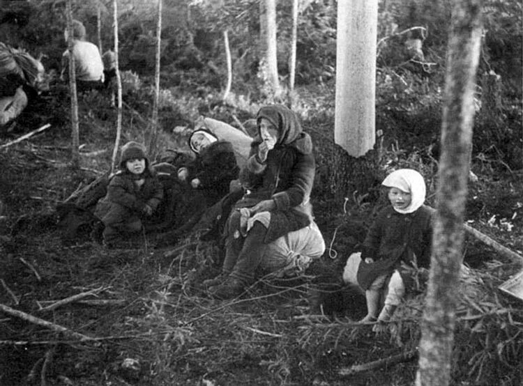 Хвойная в годы войны. Волховский фронт мясной Бор. Долина смерти Волховский фронт 1942 г.