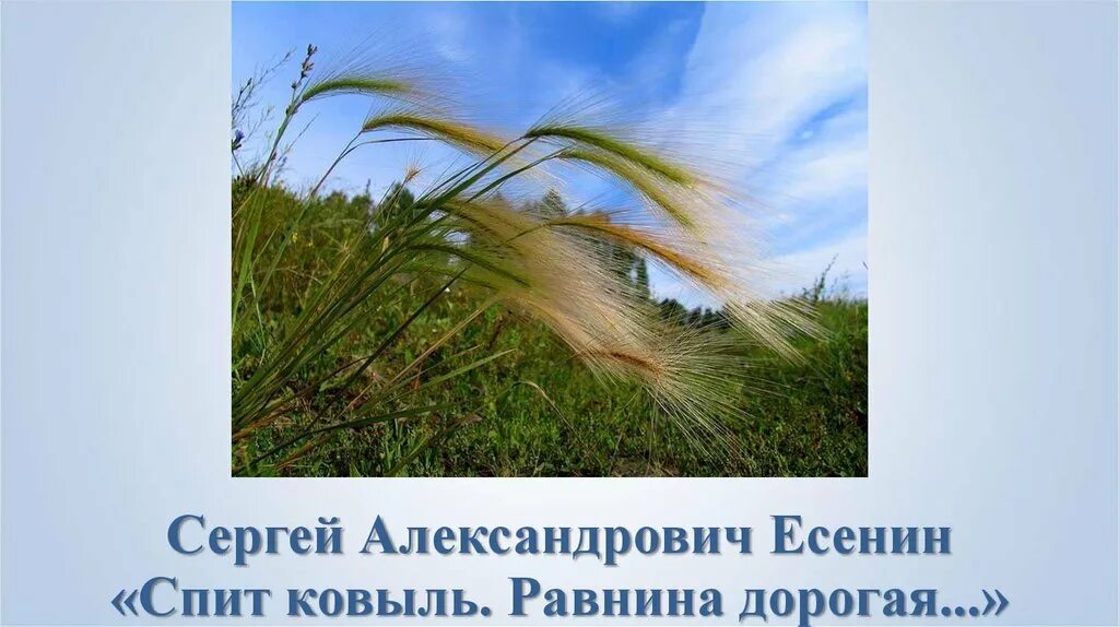 Спи равнина есенин. Есенин стих спит ковыль. Спи равнина есенин. Спи равнина есенин. Спи равнина есенин.