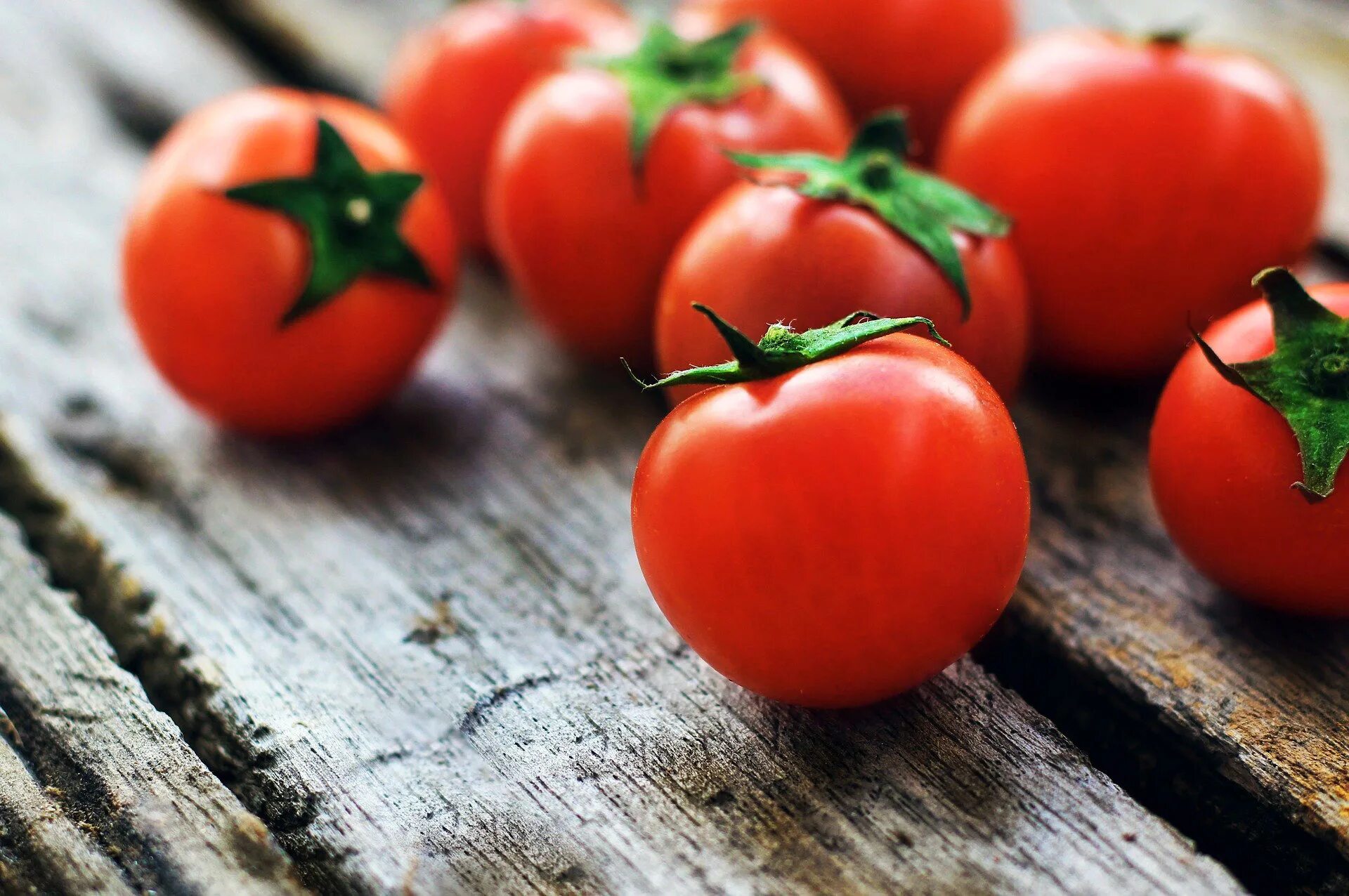 Tomato v