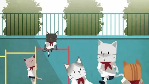 Школа котиков видео