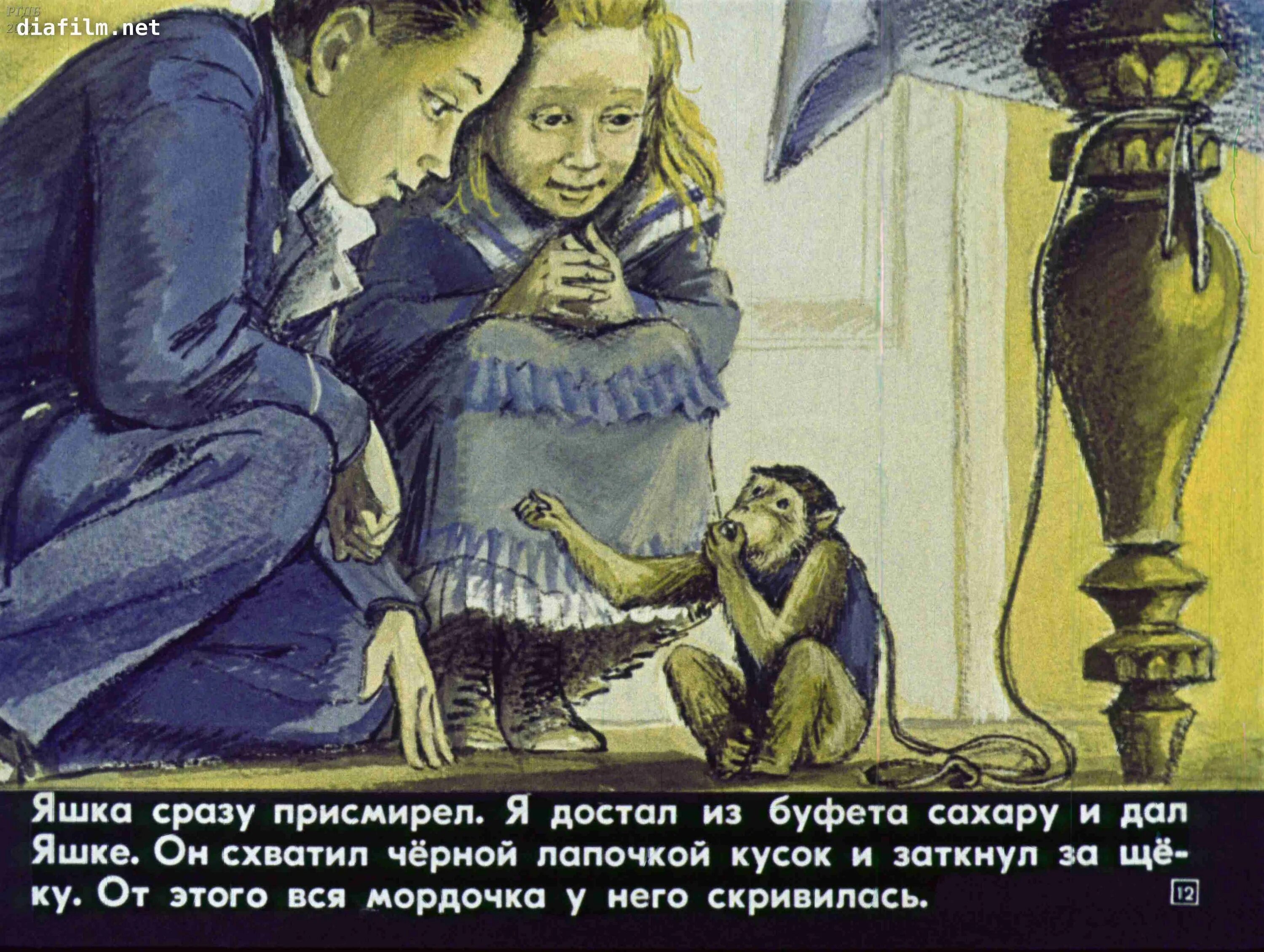 Какие чувства испытывала обезьянка яшка