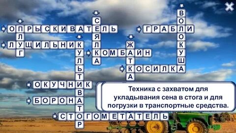 Хозяйство кроссворд