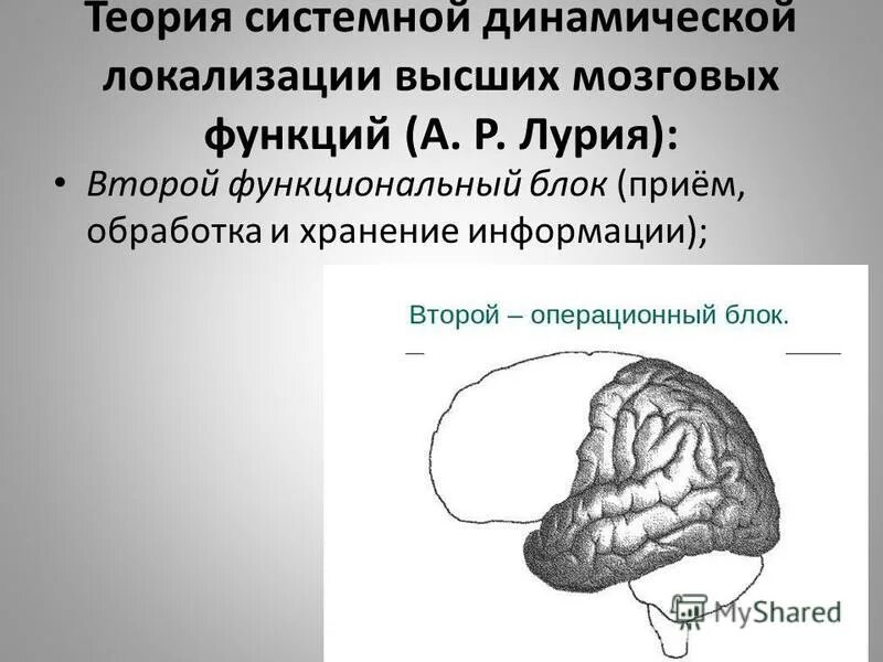 Динамическая локализация высших психических функций. 2 блок мозга по теории лурия. локализация высших психических функций лурия. теорию системной динамической локализации впф (по а.р. лурия). теория системной динамической локализации впф схема.
