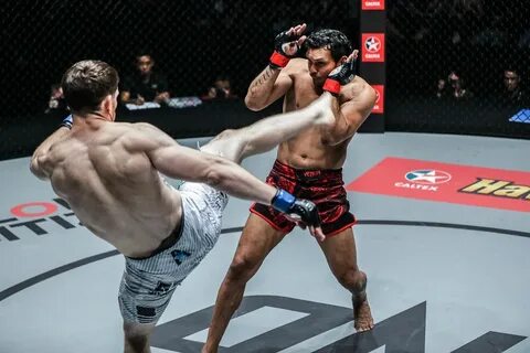 Real fighting