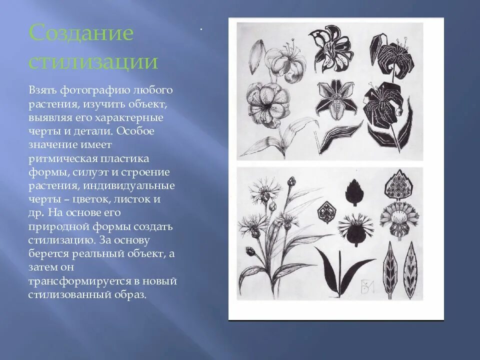 Какие приемы используются при стилизации растения