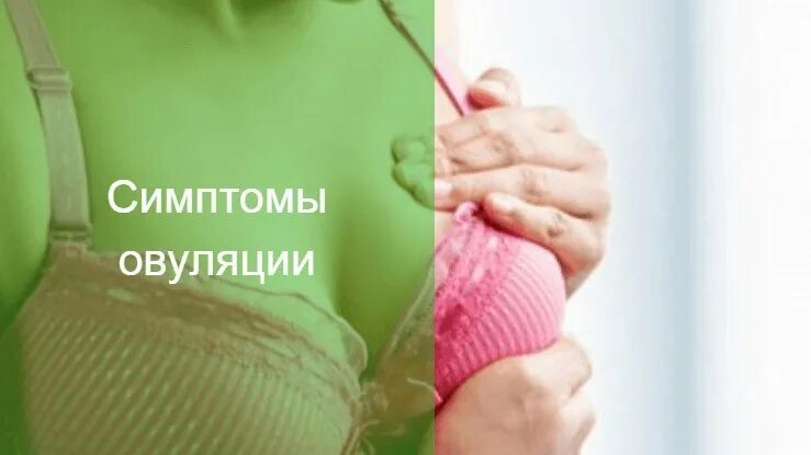 Овуляция симптомы ощущения. Овуляция симптомы. симптомы при овуляции. признаки овуляции. симптомы овуляции у женщин.