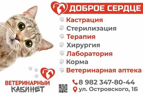 Ветеринарная златоуст