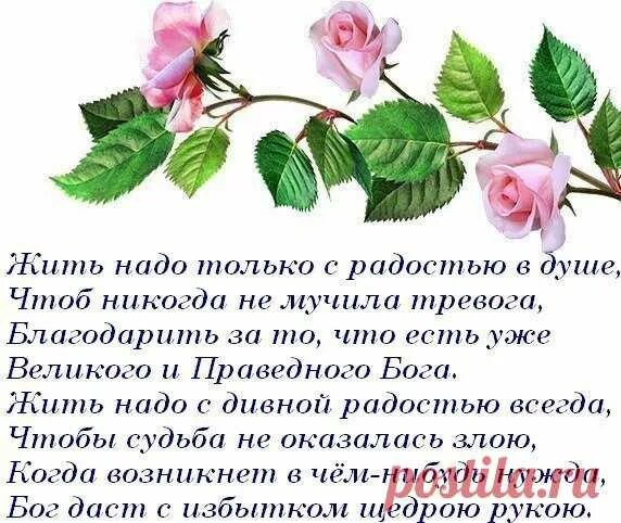 Спасибо вам что вы живете