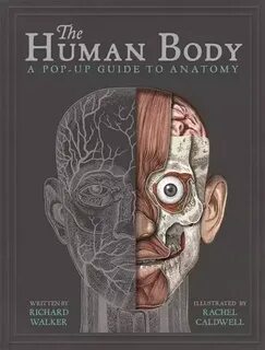 Полный человек книга