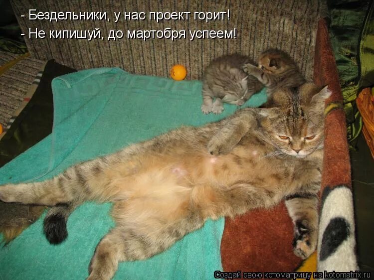 каста вокруг шум 2009. не кипишуй всё ништяк. вокруг шум пусть так не кипишуй. пусть так не кипишуй. не кипишуй.