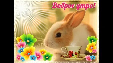 Сайт с добрыми картинками