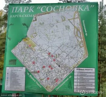 Сосновка на карте